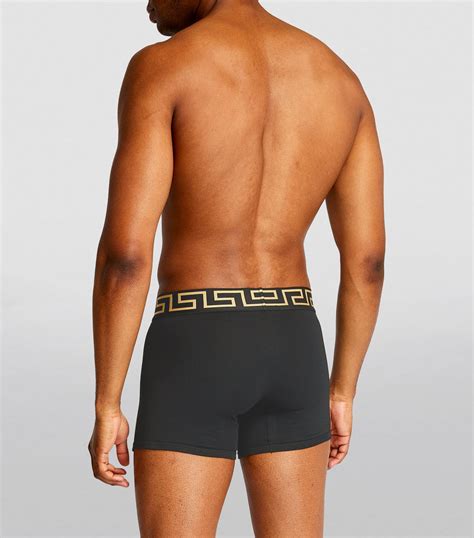 versace greca boxer|Versace boxer trunks.